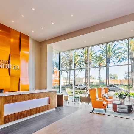 Hotel Indigo Anaheim By Ihg Ngoại thất bức ảnh